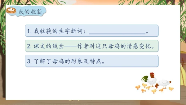 【核心素养】部编版语文四年级下册-14.母鸡 第1课时（课件）
