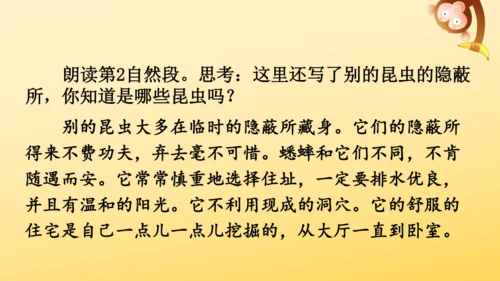 11 蟋蟀的住宅  课件