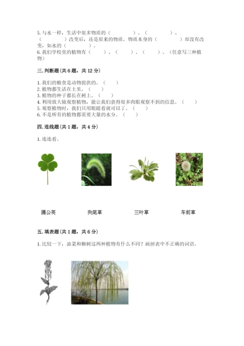 教科版科学一年级上册第一单元《植物》测试卷带答案（模拟题）.docx