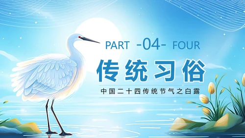 美丽的梦幻传统节气白露PPT模板