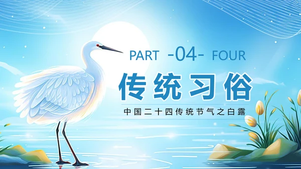 美丽的梦幻传统节气白露PPT模板