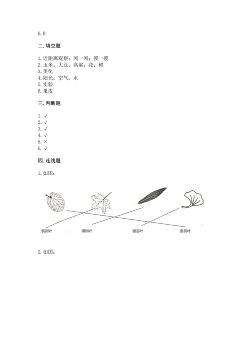 教科版科学一年级上册第一单元《植物》测试卷及完整答案1套.docx