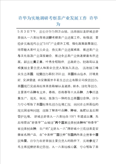 许华为实地调研考察茶产业发展工作许华为