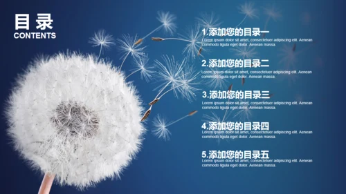 蒲公英种子传播教师公开课通用PPT课件