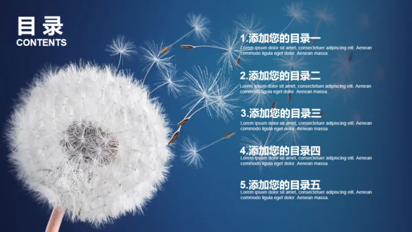蒲公英种子传播教师公开课通用PPT课件