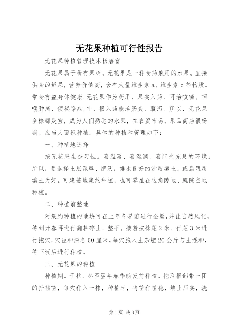 无花果种植可行性报告 (2).docx