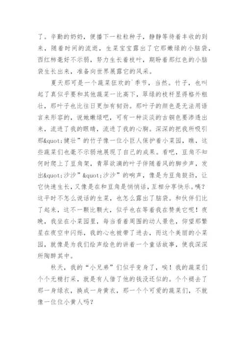 美丽的菜园作文600字.docx