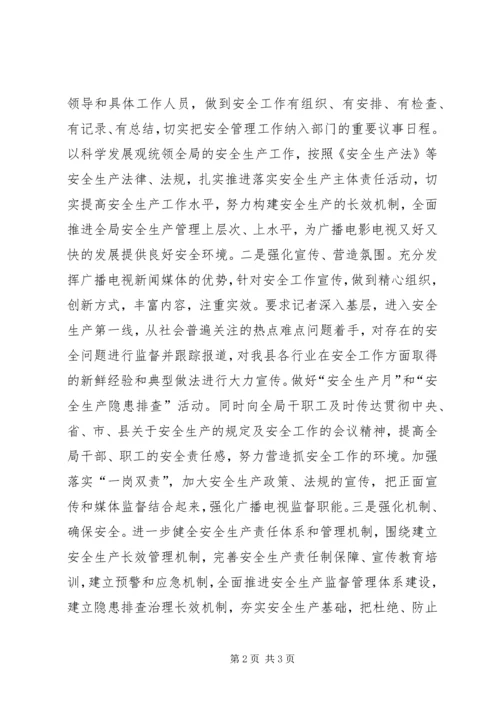 广电局年度安全生产工作计划.docx