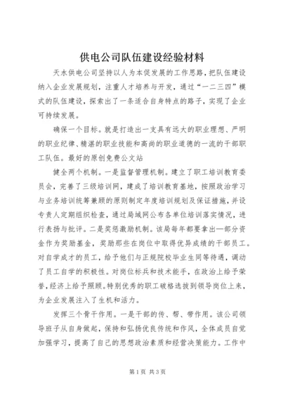 供电公司队伍建设经验材料.docx