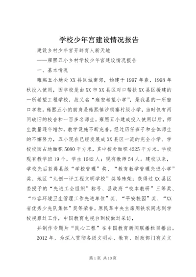 学校少年宫建设情况报告.docx