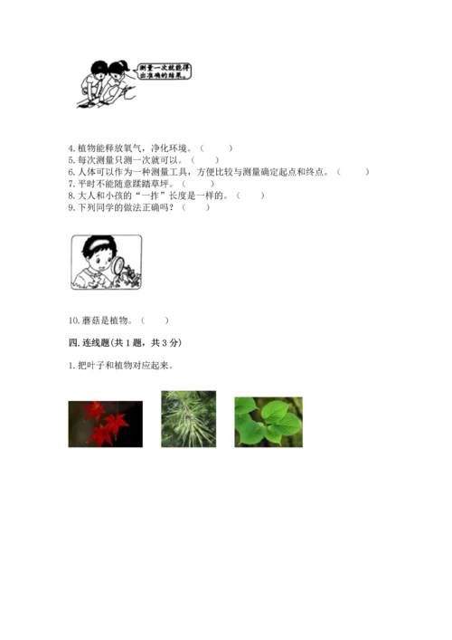 教科版科学一年级上册期末测试卷【中心小学】.docx