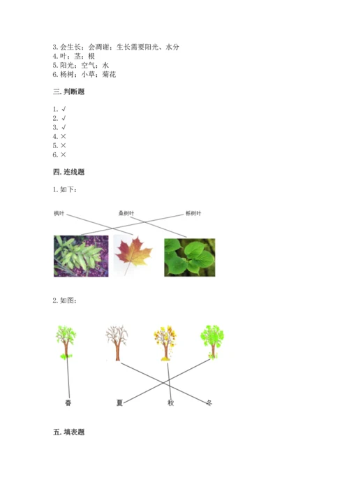 教科版科学一年级上册第一单元《植物》测试卷附完整答案【精品】.docx