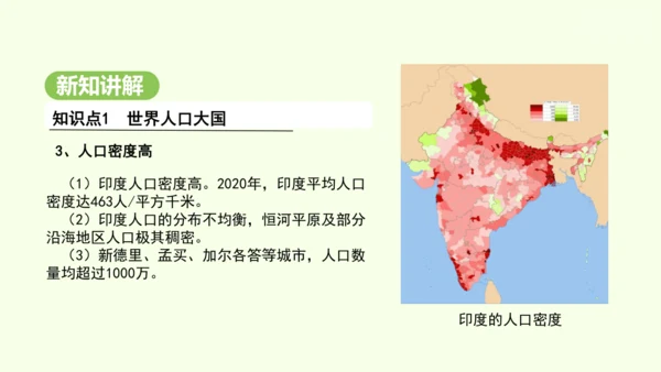 8.3 印度（课件35张）-2024-2025学年七年级地理下学期人教版(2024)