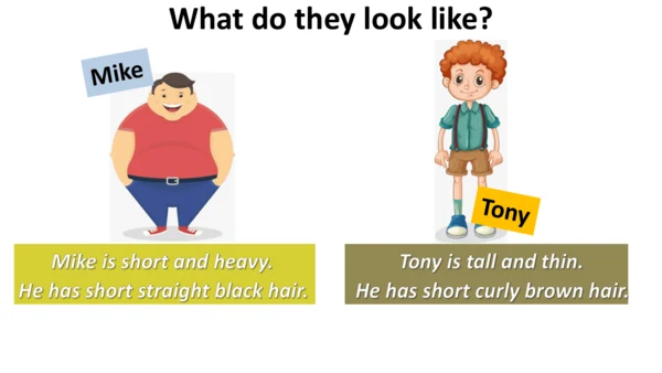 Unit 9 SectionA Grammar focus-3d 课件（人教新目标七下Unit9 W