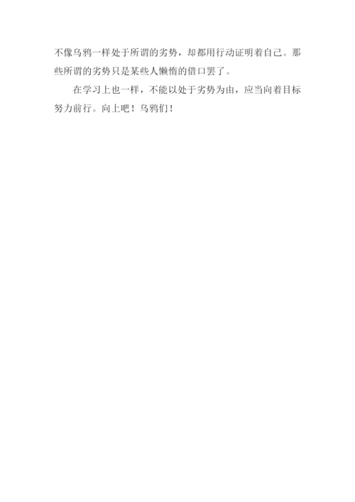 向上吧!乌鸦们作文.docx