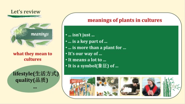 2024年外研版七年级英语上册Unit 6 The power of plants Presenti