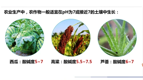 第十单元课题1 溶液的酸碱性 课件(共23张PPT)