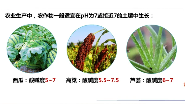 第十单元课题1 溶液的酸碱性 课件(共23张PPT)