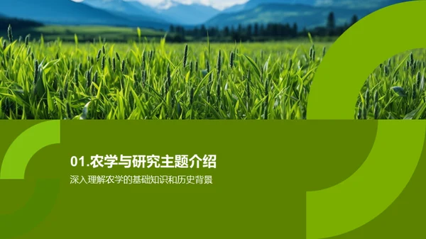 稻田生态与产量提升