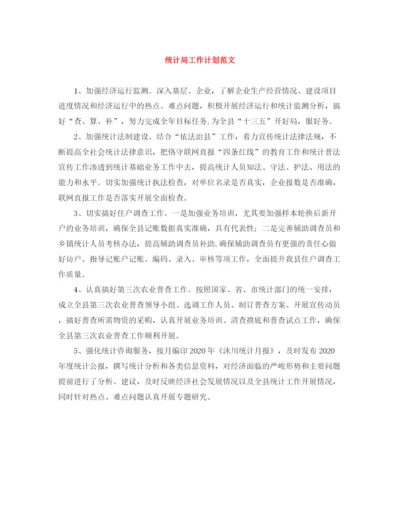 精编之统计局工作计划范文.docx