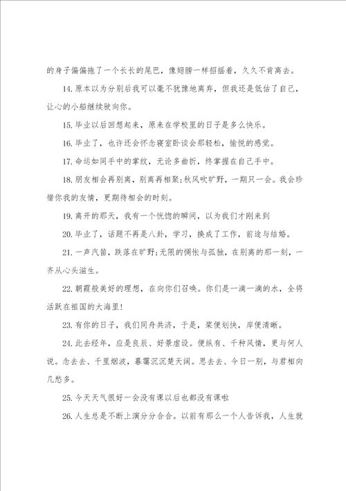 毕业感慨的句子