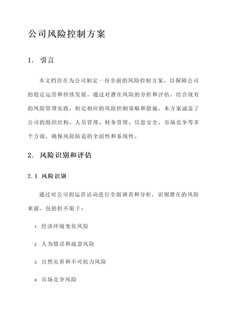 公司的风险控制方案