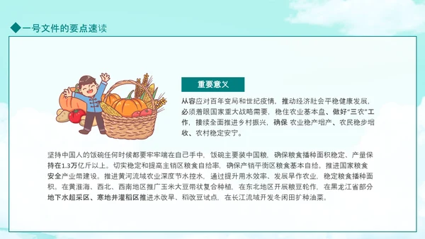 国务院全面推进乡村振兴PPT模板