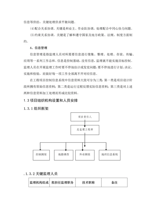 测量监理工作专业方案.docx