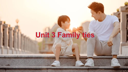 Unit 3 Family ties Presenting ideas 课件 外研版（2024）七年