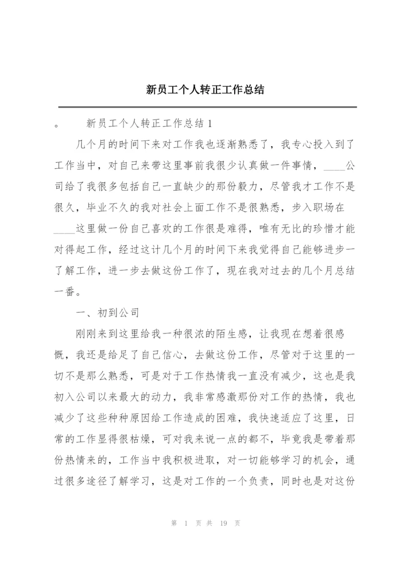 新员工个人转正工作总结.docx