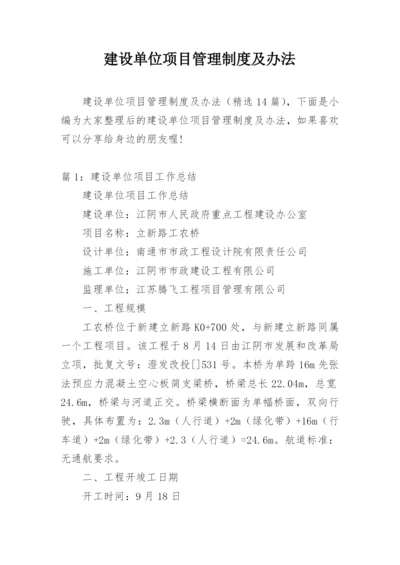 建设单位项目管理制度及办法.docx