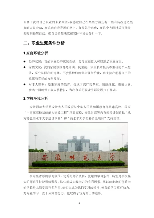 12页4500字数学与应用数学专业职业生涯规划.docx