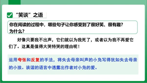 17.动物笑谈（课件）【2023秋人教七上语文高效实用备课】(共33张PPT)