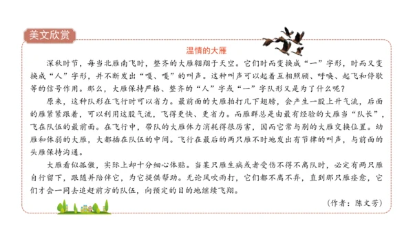 三下4  同学相伴课件（43张PPT)（全一课）