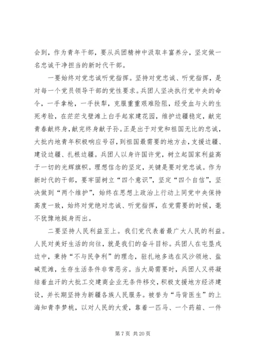 学习兵团精神有感六篇.docx