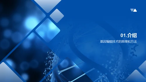 商务风生物医疗教学课件PPT模板