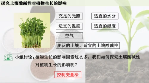 跨学科实践活动9  探究土壤酸碱性对植物生长的影响课件(共33张PPT)