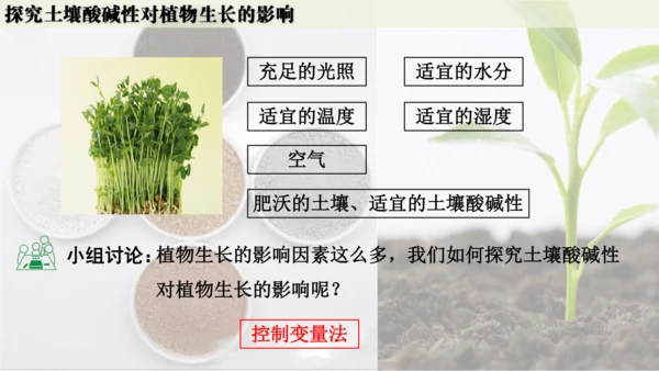 跨学科实践活动9  探究土壤酸碱性对植物生长的影响课件(共33张PPT)