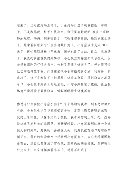 养仓鼠的经历与心得500字.docx