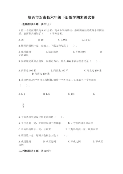 临沂市沂南县六年级下册数学期末测试卷精品有答案.docx