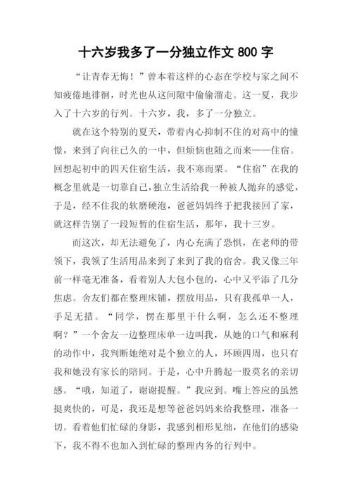 十六岁我多了一分独立作文800字.docx