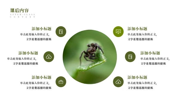蜜蜂采蜜自然与科学通用PPT模板