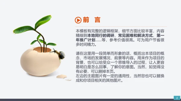 公司企业项目创办商业计划书PPT模板