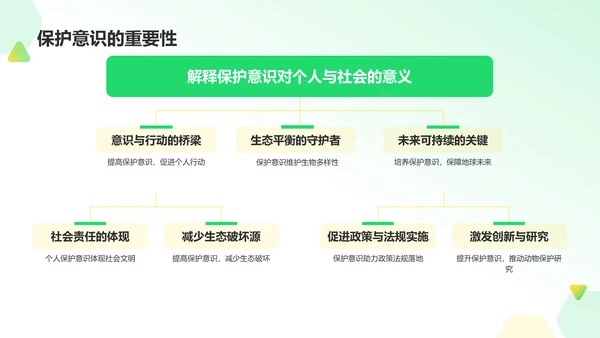 绿色摄影风动物保护知识科普PPT模板