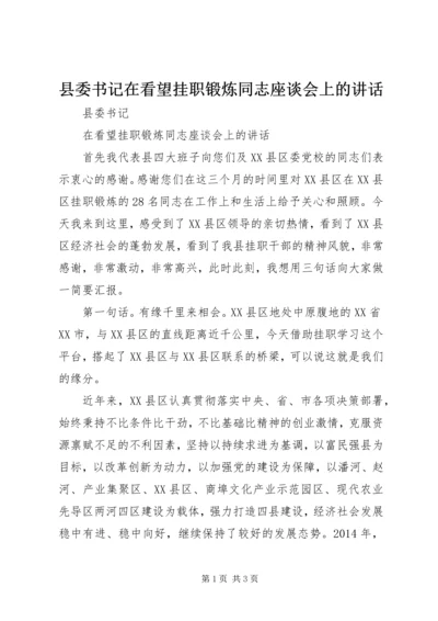 县委书记在看望挂职锻炼同志座谈会上的讲话.docx