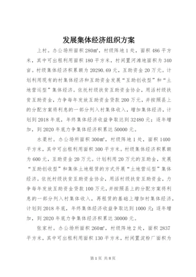 发展集体经济组织方案.docx