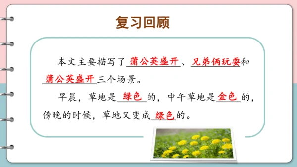 第16课《金色的草地》（第二课时）课件