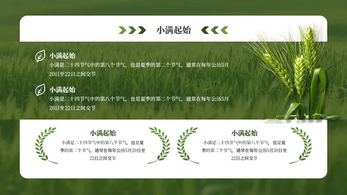 绿色小满节气介绍通用模板