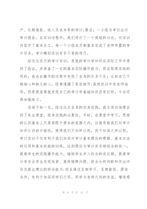 审计程序实训报告体会范本10篇.docx