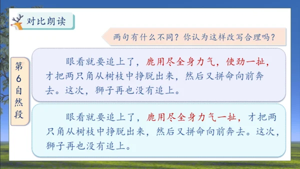 【核心素养】部编版语文三年级下册-7. 鹿角和鹿腿 第2课时（课件）